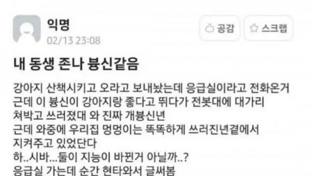 강아지와 지능이 바뀐 동생년.jpg