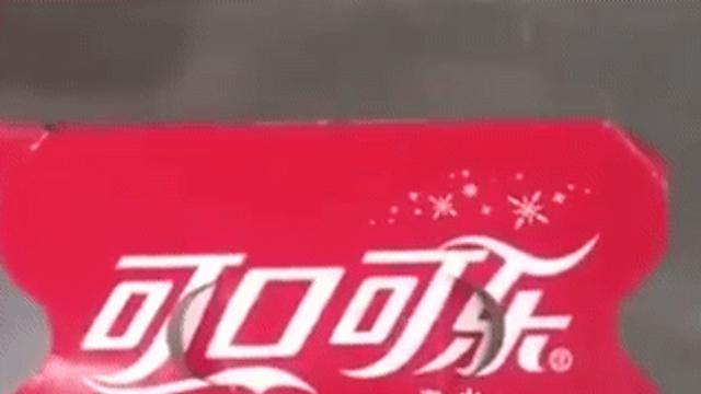 냥이 포획방법..