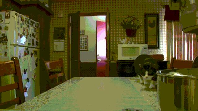 고양이 접금방지용 매트.gif,,