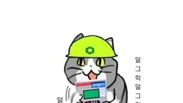 일본 좆소고양이 최신 모음