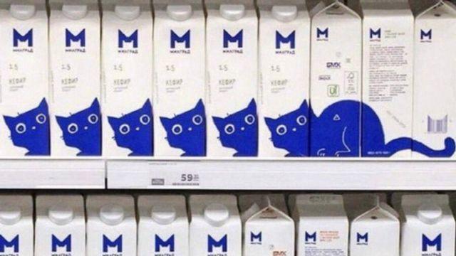 어느 슈퍼의 고양이		…