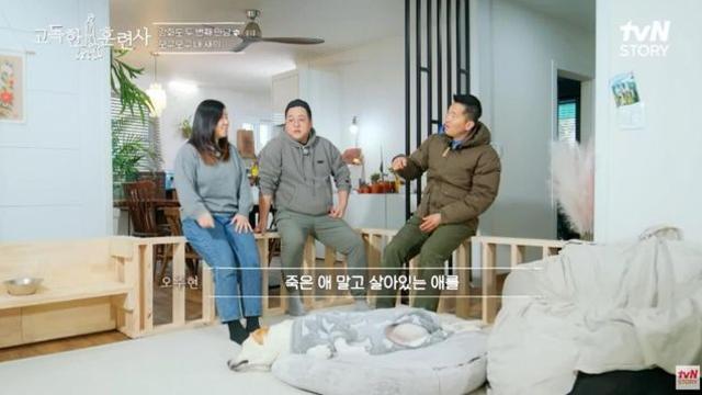 진짜로 동물을 사랑하는 사람		…
