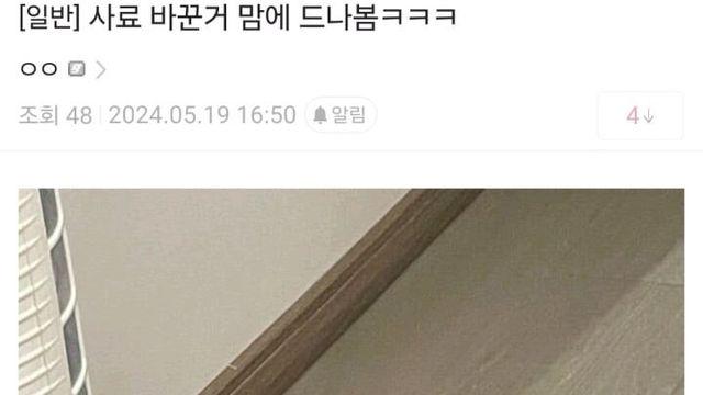바뀐 사료가 마음에 든 고양이.jpg