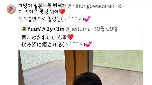 사랑스런 뒷모습.jpg