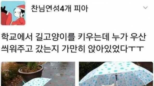 낭만고양이.jpg,,