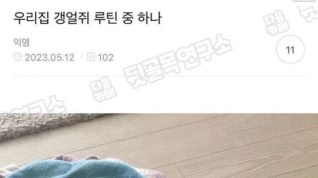 강아지 키우면 빨래 건조기 써야하는 이유