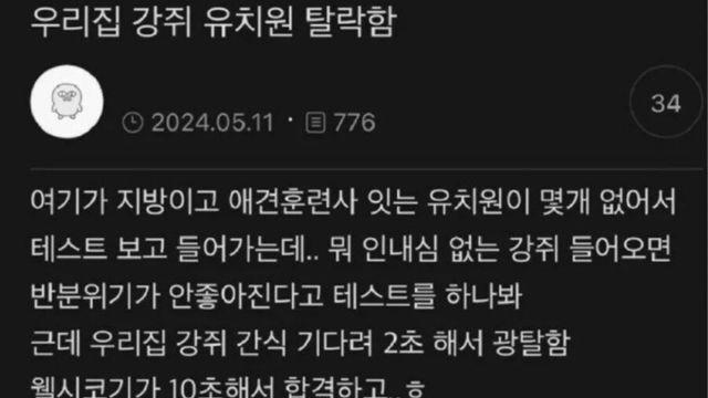 유치원에 떨어진 강아지.jpg