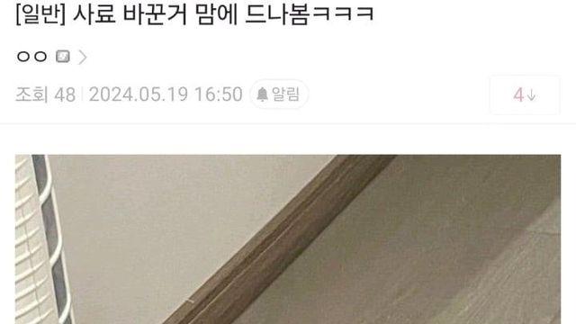 바뀐 사료가 마음에 드는 고양이.jpg