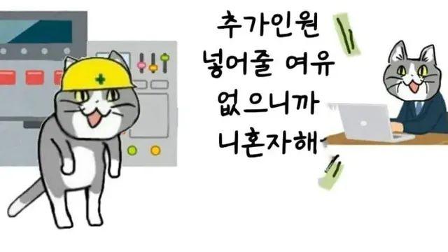 서글픈 중소기업 고양이
