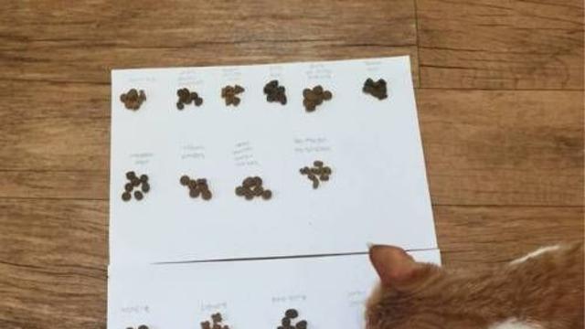 고양이 사료 선호도 조사.jpg,,