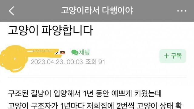 캣맘에 질려서 고양이 파양한다는 사람		…