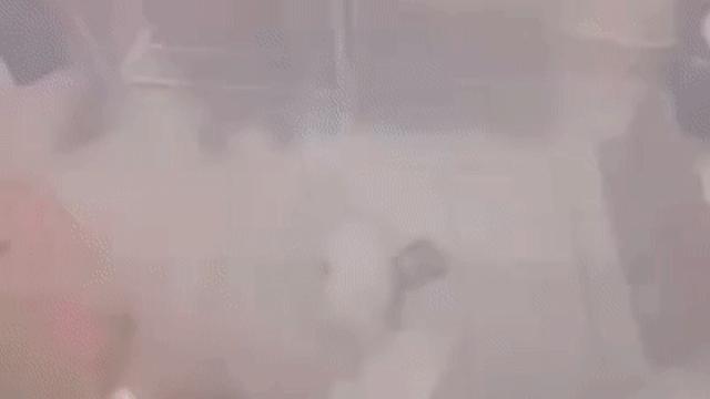 안자고 놀다가 들킨 댕댕이..