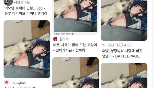 와 우리집 댕댕이 진짜 존나 많이 퍼갔네