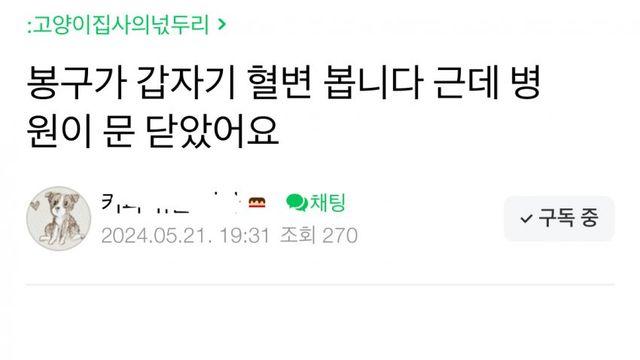 고양이 키우지만 병원데려갈 돈은 없는 사람