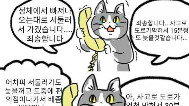 일본 중소기업 고양이 만화.jpg