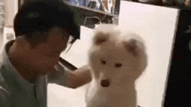 마술을 본 댕댕이 현실 반응..