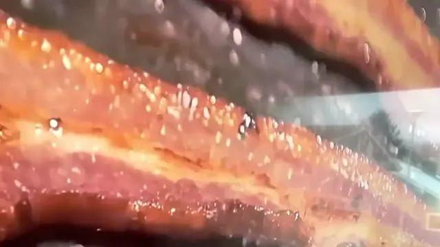 배가 많이 고팠던 댕댕이ㅎㅎ