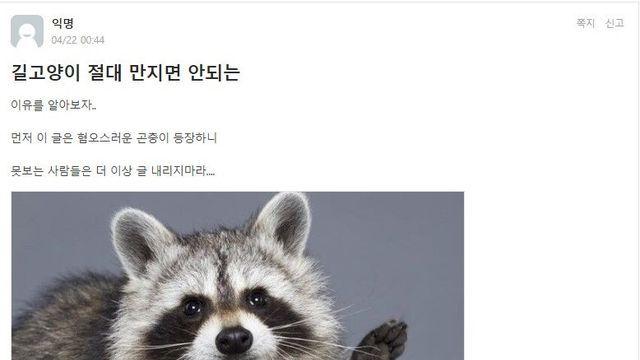 길고양이 절대 만지면 안되는		…