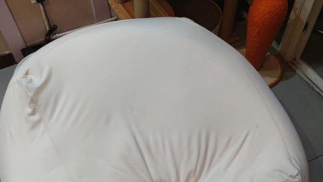 쪼끄만 냥이..
