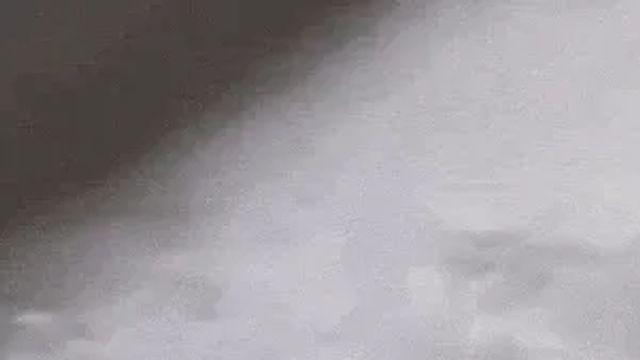 새끼 고양이 특유의 삐죽삐죽털⋯!