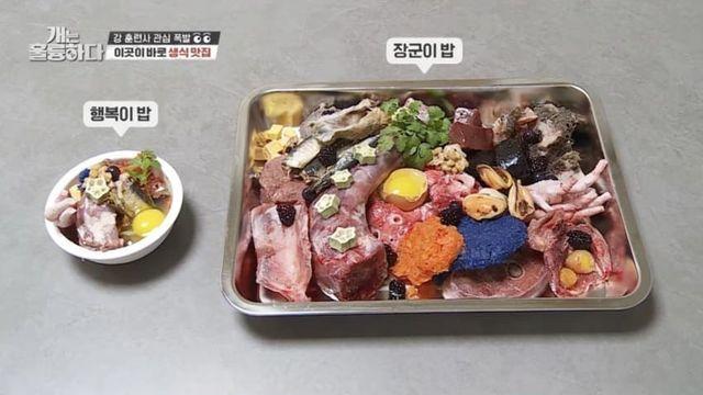 사람보다 잘 먹는 다는 소리가 나오는 강아지.jpg