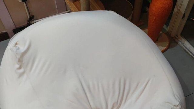 쬐끄만 고양이