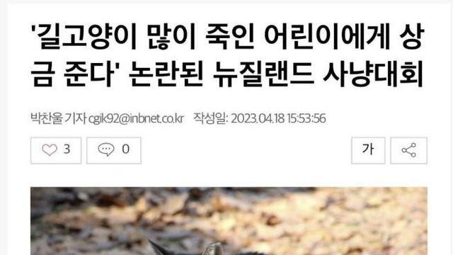 뉴질랜드 길고양이 근황		…