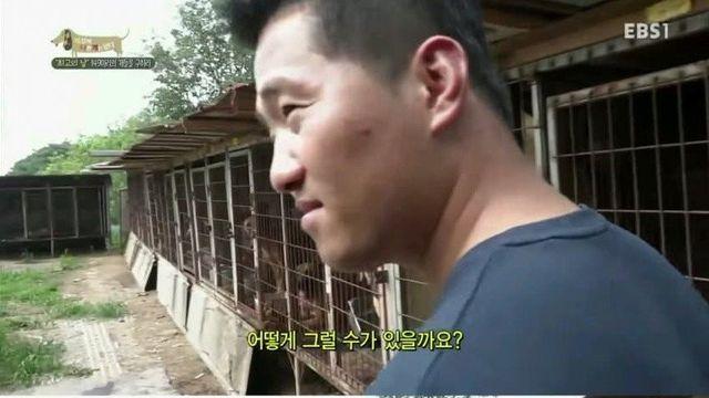 훌쩍훌쩍 댕댕이가 사람을 좋아하는 이유..jpg!!!