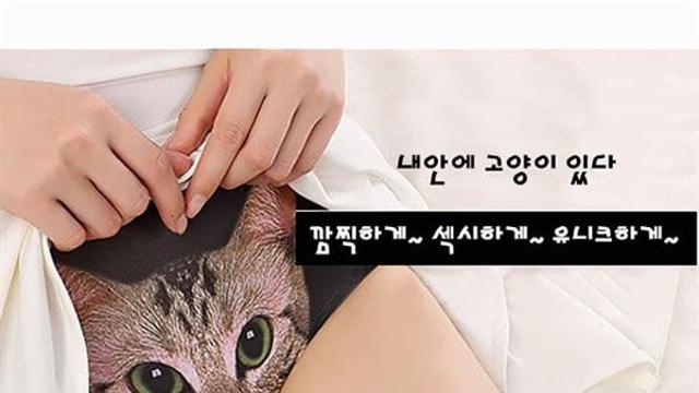 자기야 우리집 냥냥이 보러 갈래?