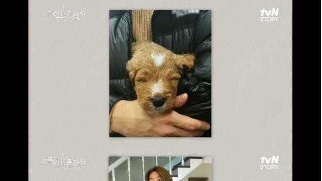 강형욱도 처음 본다는 강아지 ‘똥후루’		…
