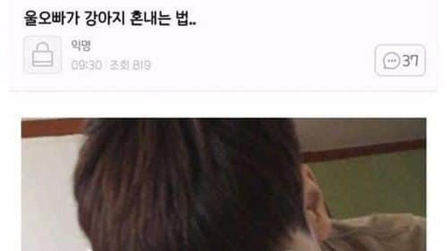 오빠가 강아지 혼내는 법,,