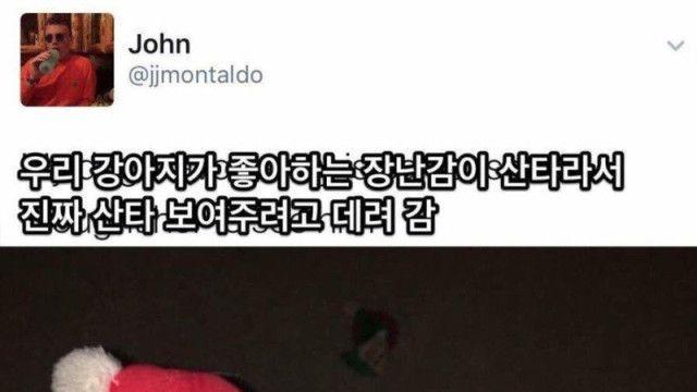 성덕이 돼서 극락 가버린 댕댕이