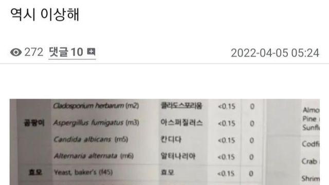 ???: 고양이 알레르기 검사했는데 심각해…		…