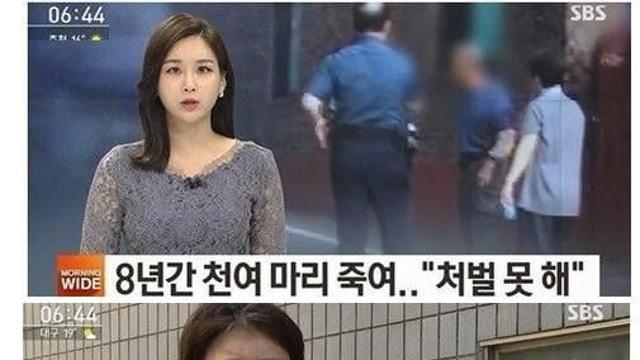8년 간 길고양이 1000마리 죽인 어르신		…