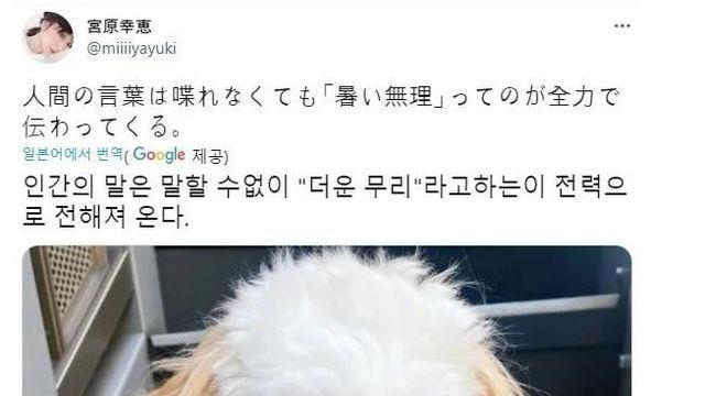 온 몸으로 덥다는 걸 표현하는 강아지		…