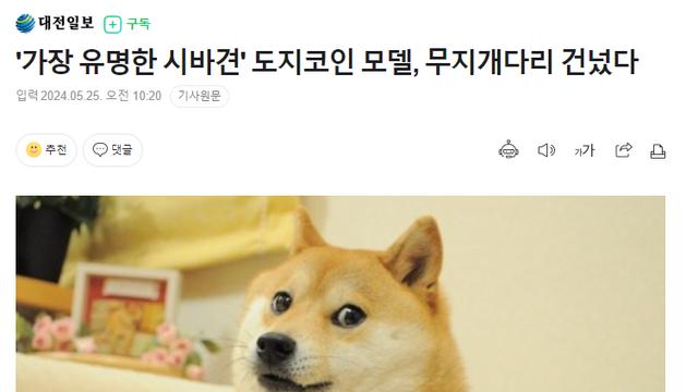 오늘 세상을 떠난 세계에서 가장 유명한 강아지⋯!