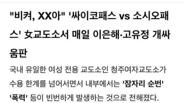 요새 매일 싸운다는 고유정과 이은해