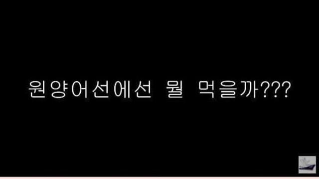원양어선 선원들이 먹는 밥 수준		…