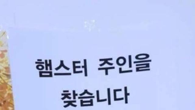 햄스터 주인을 찾습니다,,