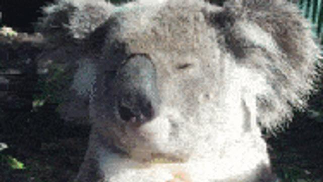 쉬지 말고 일하게, 인간.gif,,
