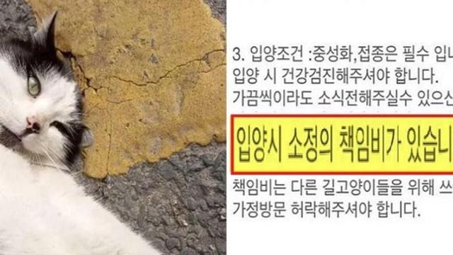 의외로 불법인데 전혀 처벌받지 않는다는 것		…