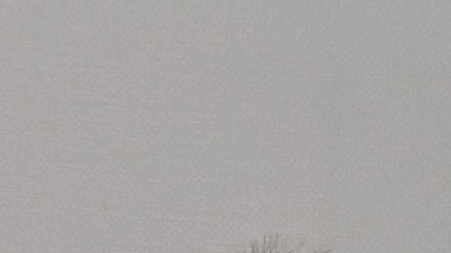 이거이름뭐야:)
