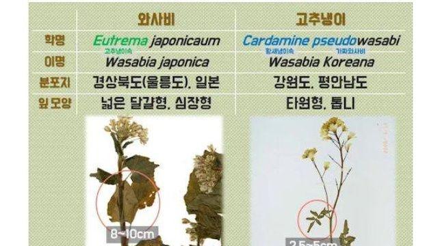 많이 알려지지 않은 국립국어원의 헛짓거리		…
