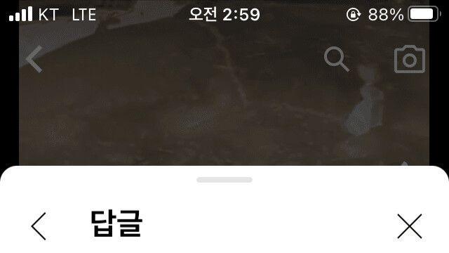 한국 고고학 레전드 썰….ssul		…
