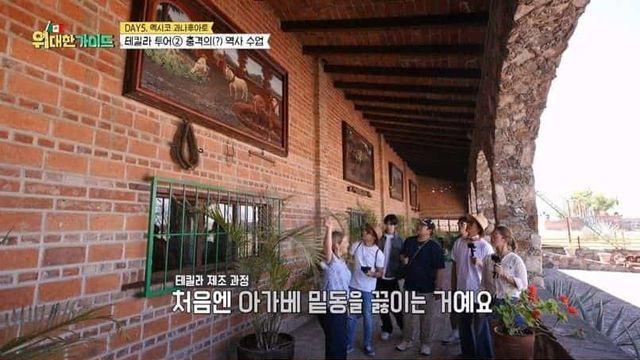 이스트가 없던 시절 테킬라 or 메즈칼 만드는 방법,,