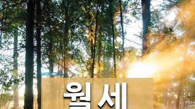 전세사기 절대 안 당하는 방법		…