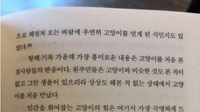 고양이를 처음 본 섬사람들 반응		…