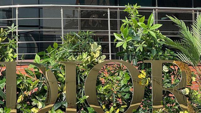 [뉴컬★] 뉴진스 해린, 햇빛 쬐러 산책나온 고양이