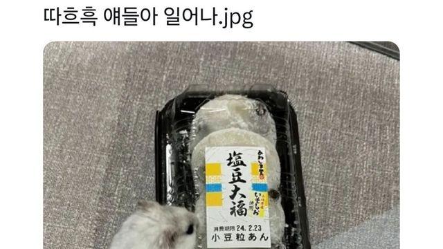 따흐흑 얘들아 일어나⋯