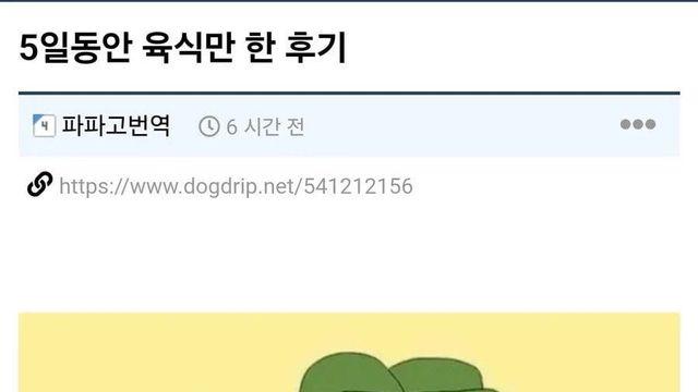 5일동안 육식만 한 후기
